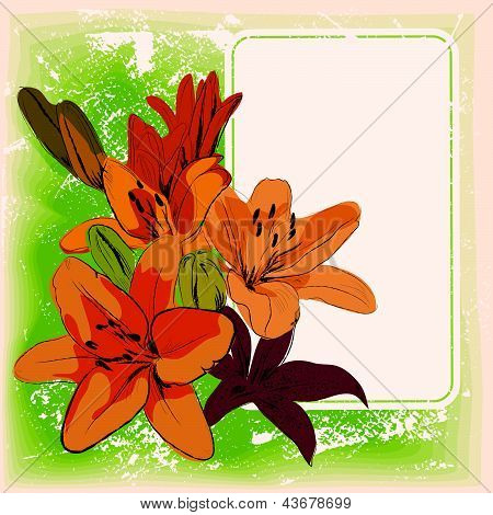 cornice colorata con fiori disegnati a mano