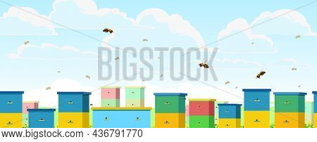 Apiary. Rural Farm Landscape With Colorful Bee Hives. Bright Summer Sky With White Clouds And Flight