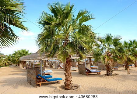 Palmy na plaży luksusowy Hotel, Hurghada, Egipt