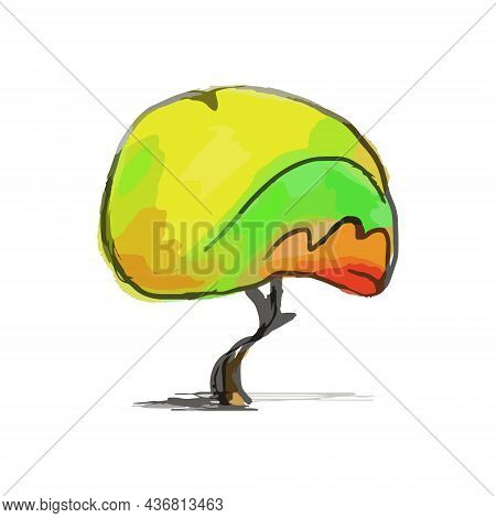A Round-shaped Tree In Color On A White Background.