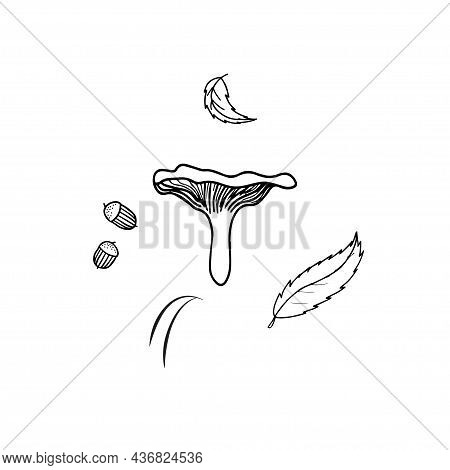 Hand Drawn Forest Mushroom Chanterelle, Around Bunch Of Decor Pine Needles, Acorns, Tree Leaves. Vec
