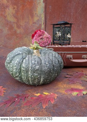Green Pumpkin, Old Suitcase And Lantern On The Background Of An Old Rusty Metal Sheet With Fallen Oa