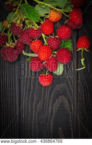 Branches Of Ripe Red Raspberries With Leaves Lies On A Dark Vintage Boards After Harvest. Free Adver