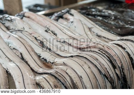 Black Scabbard , Espada, On Ice For Sale In Fish Market