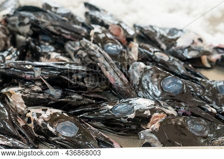 Black Scabbard , Espada, On Ice For Sale In Fish Market