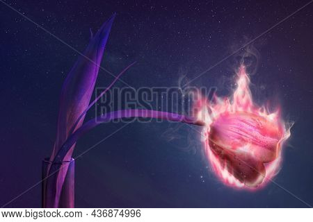 Flaming tulip flower, fire aesthetic, environment remix with fire effect
