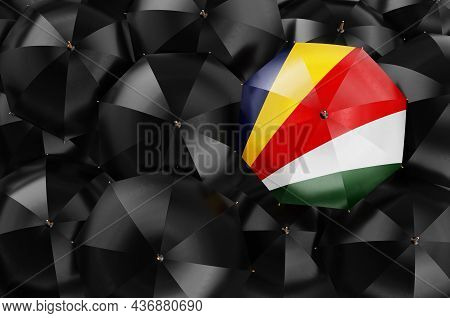Umbrella With Seychelloise Flag Among Black Umbrellas, Top View. 3d Rendering