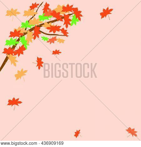 The Maple Leaves Falling From The Tree Vector Image Illustration