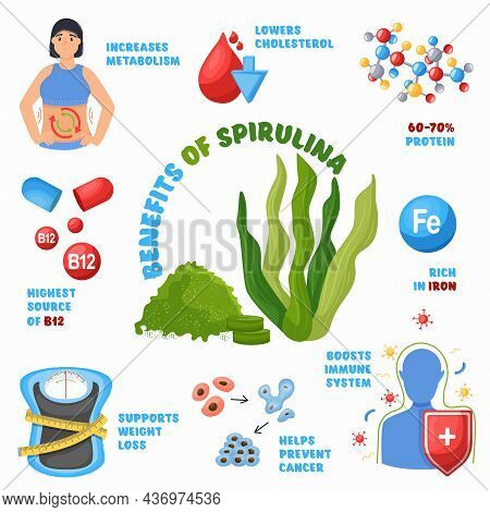 Spirulina Algae Health Benefits Infographic, Superfood Advertising. Healthy Seaweed, Dietary Vitamin