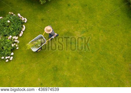 A Young Man With Hands In Gloves Is Carrying A Metal Garden Cart Through His Beautiful Green Bloomin