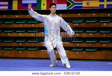 KUALA LUMPUR - NOV 03: Jonathan Leung of Canada shows his taiji quan martial arts moves in the 'taiji quan' event at the 12th World Wushu Championship on November 03, 2013 in Kuala Lumpur, Malaysia.