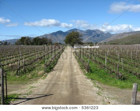 Camino de tierra y montaña
