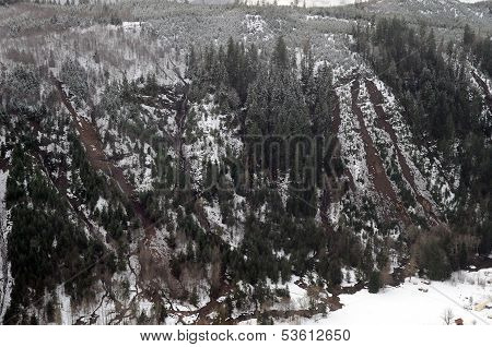 Washington Forest Mudslides