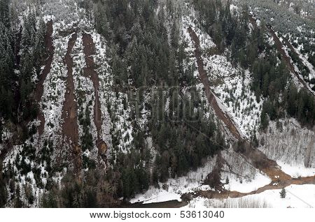Washington Forest Mudslides