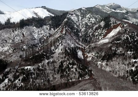 Washington Forest Mudslides