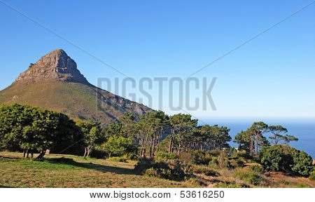 Mountain 