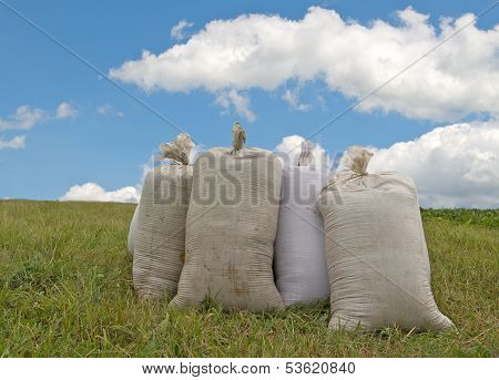 Sacks With Wheat