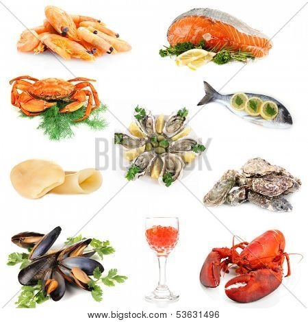 Seafood isolated on white