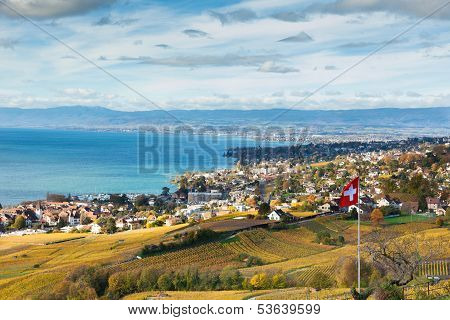 Vineyards In Lavaux Region - Terrasse De Lavaux, Switzerland