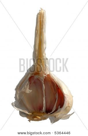Knoblauch
