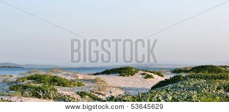 Sand Dunes