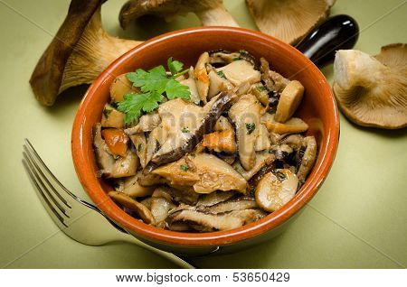 Mushroom salad