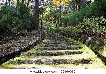 Stone Staircase With A Moss.