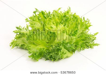 Fresh Green Salad Lolla Bionde