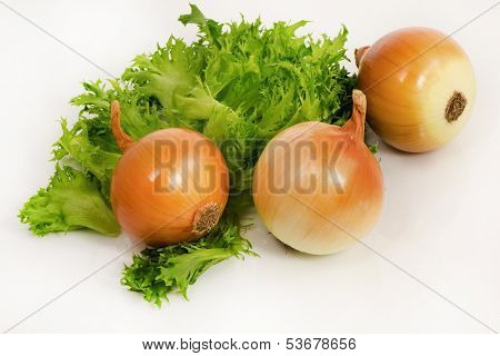 Fresh Green Salad And  Onion