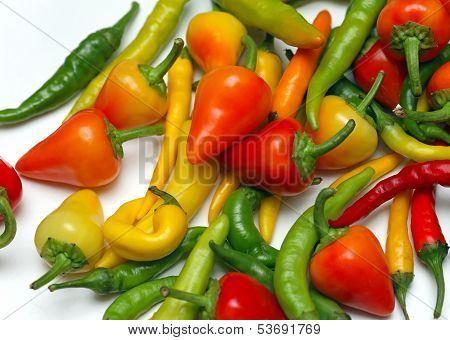 Chili Peppers