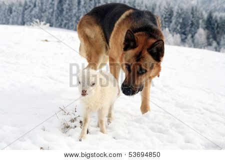 Winter on the farm.