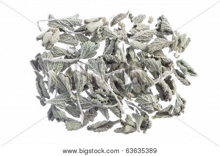 Horehound Herb