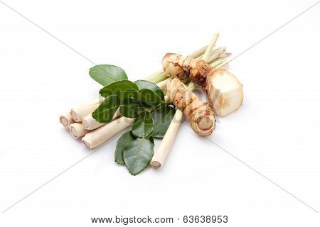 Group of tomyum (Thai food) seasoning ingredients