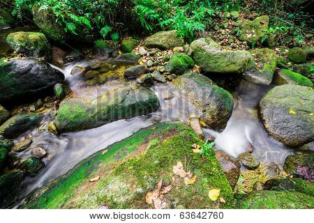 Waterfall In Rain Forest