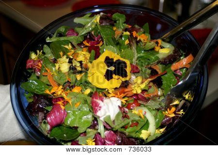 salada 
