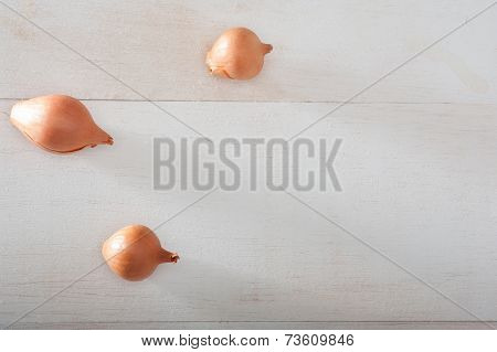 Onions On The Table