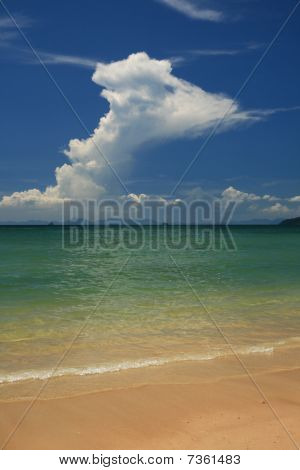 Tropical Beach
