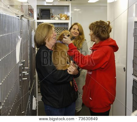 Volunteers inside van