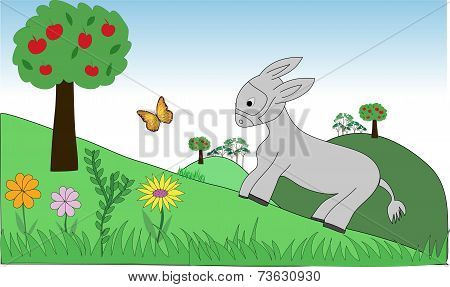 Donkey