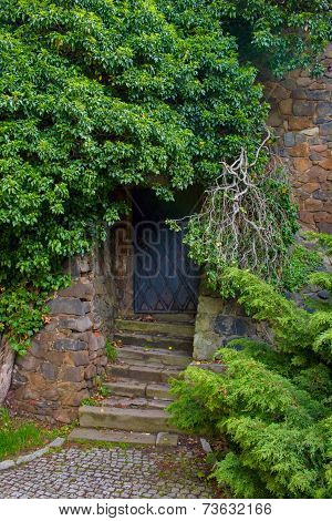 door tree