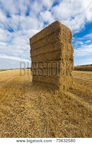 Straw Bales Stacked In Field At Harvest Time