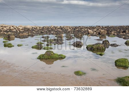 Mossy Rocks And And Reflections At Cayton Bay