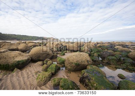 Natural Coastal Environment Image