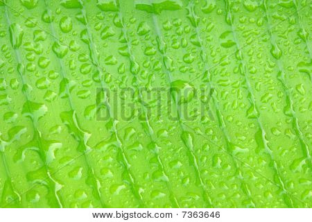 Goutte d'eau