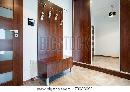 Wooden Anteroom In Modern Apartment