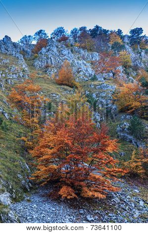 Mountain Landscape