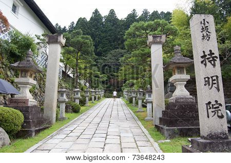 Man Walking Between Lamps