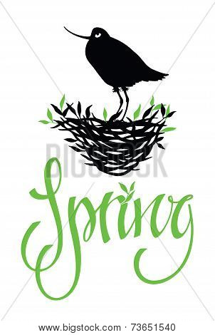 Spring Lettering Design Card With Bird