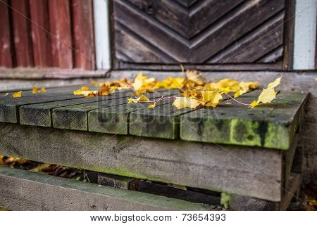 Stairs and autumn leafs