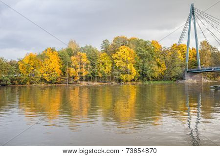 Autumn trees